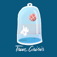 true crisis tee